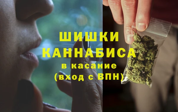 прущие грибы Абдулино