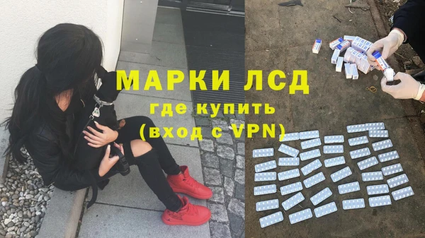 винт Алзамай