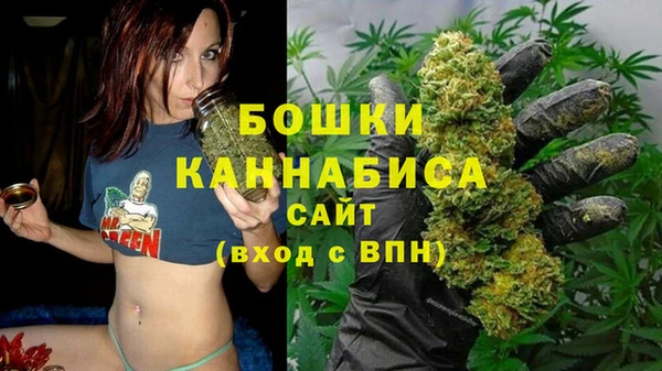 прущие грибы Абдулино