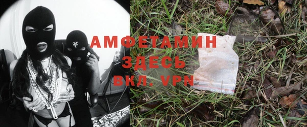амф Алексин