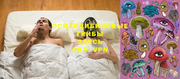винт Алзамай