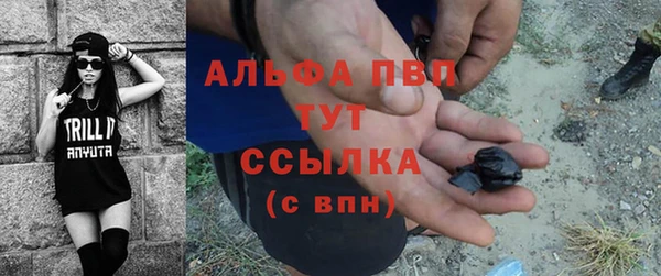 прущие грибы Абдулино