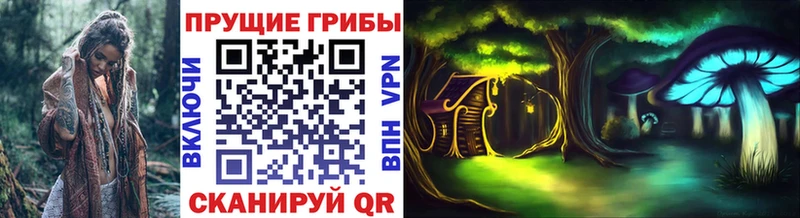 MEGA tor  Качканар  Псилоцибиновые грибы мухоморы 