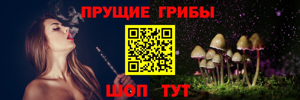 Качканар  Галлюциногенные грибы мицелий  даркнет сайт  Галлюциногенные грибы прущие грибы  Вход с VPN 