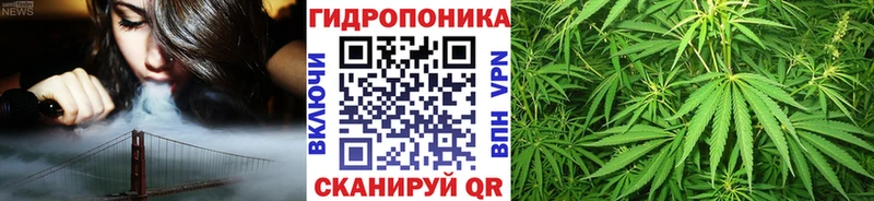 mega маркетплейс  Качканар  Шишки марихуана AK-47 